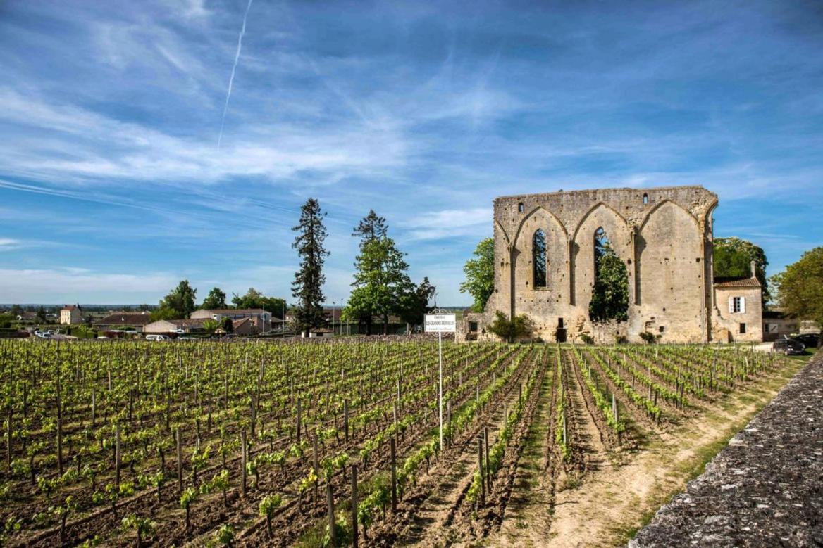 Maison Cosy Avec Vue Sur Les Vignes. リブルヌ エクステリア 写真