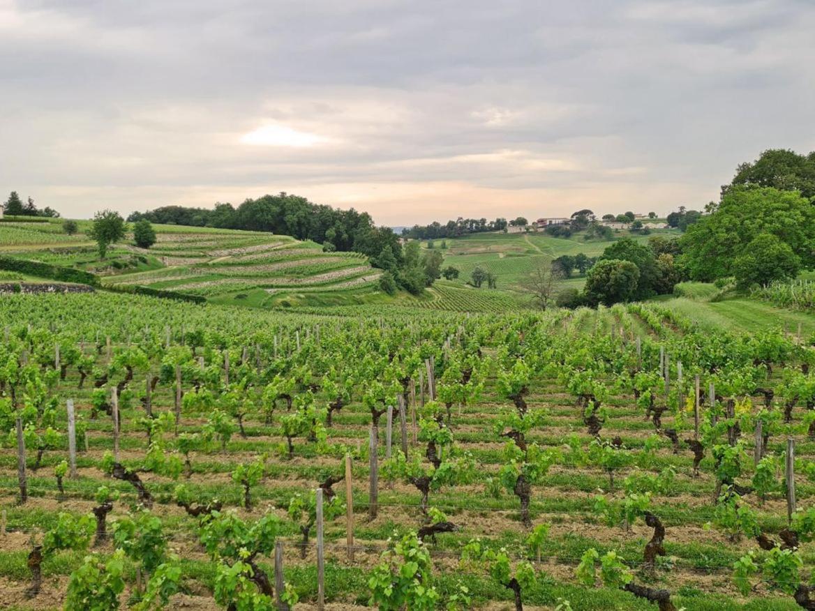 Maison Cosy Avec Vue Sur Les Vignes. リブルヌ エクステリア 写真