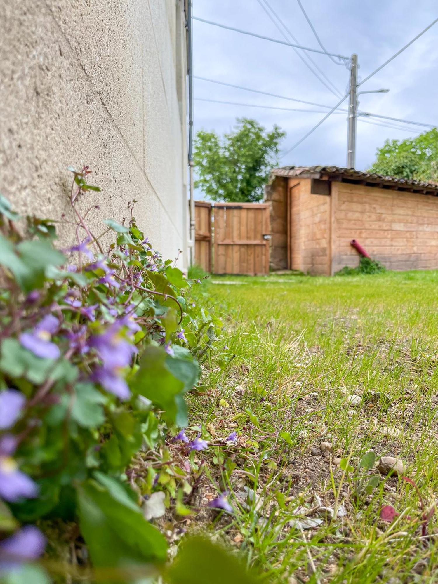 Maison Cosy Avec Vue Sur Les Vignes. リブルヌ エクステリア 写真