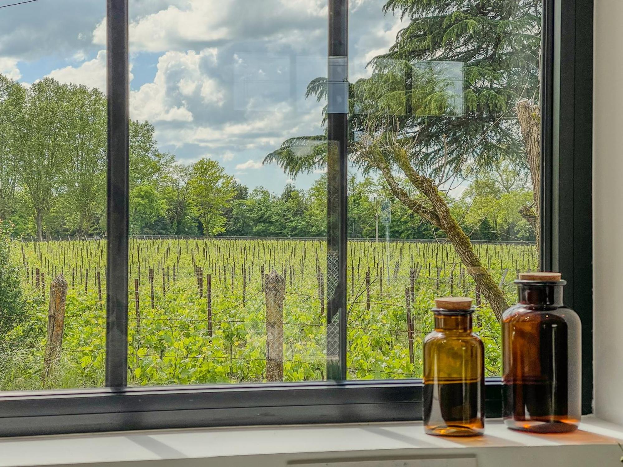 Maison Cosy Avec Vue Sur Les Vignes. リブルヌ エクステリア 写真